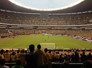 亚冬会倒计,中国滑雪队,亚布力征战,C7,YULE,C7,YULE官网,C7,YULE平台,C7娱乐集团,C7,YULE集团