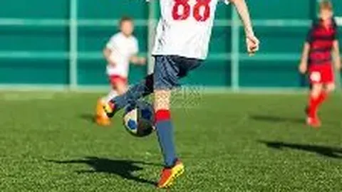 格列茲曼簡介：人物概述